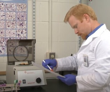 Клиника лечения наркозависимости в Пестово Врач в кабинете клиники